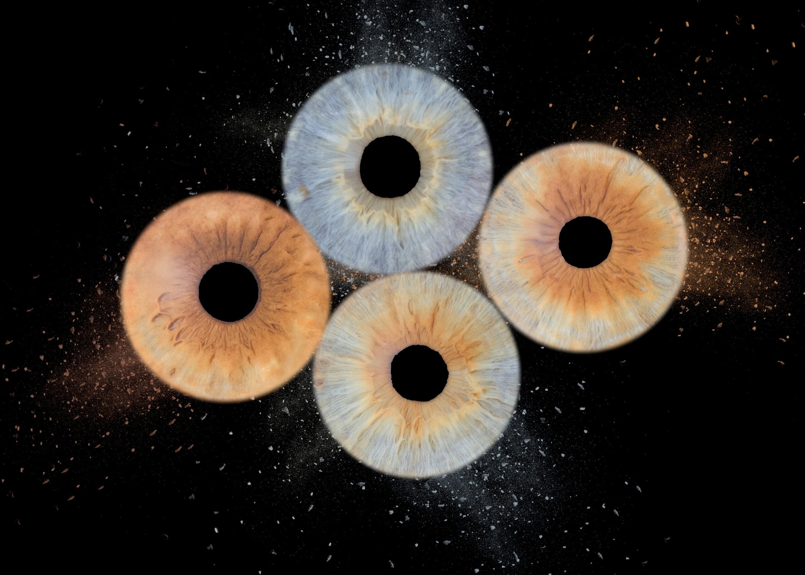 Photographie iris 4 personnes Fronton