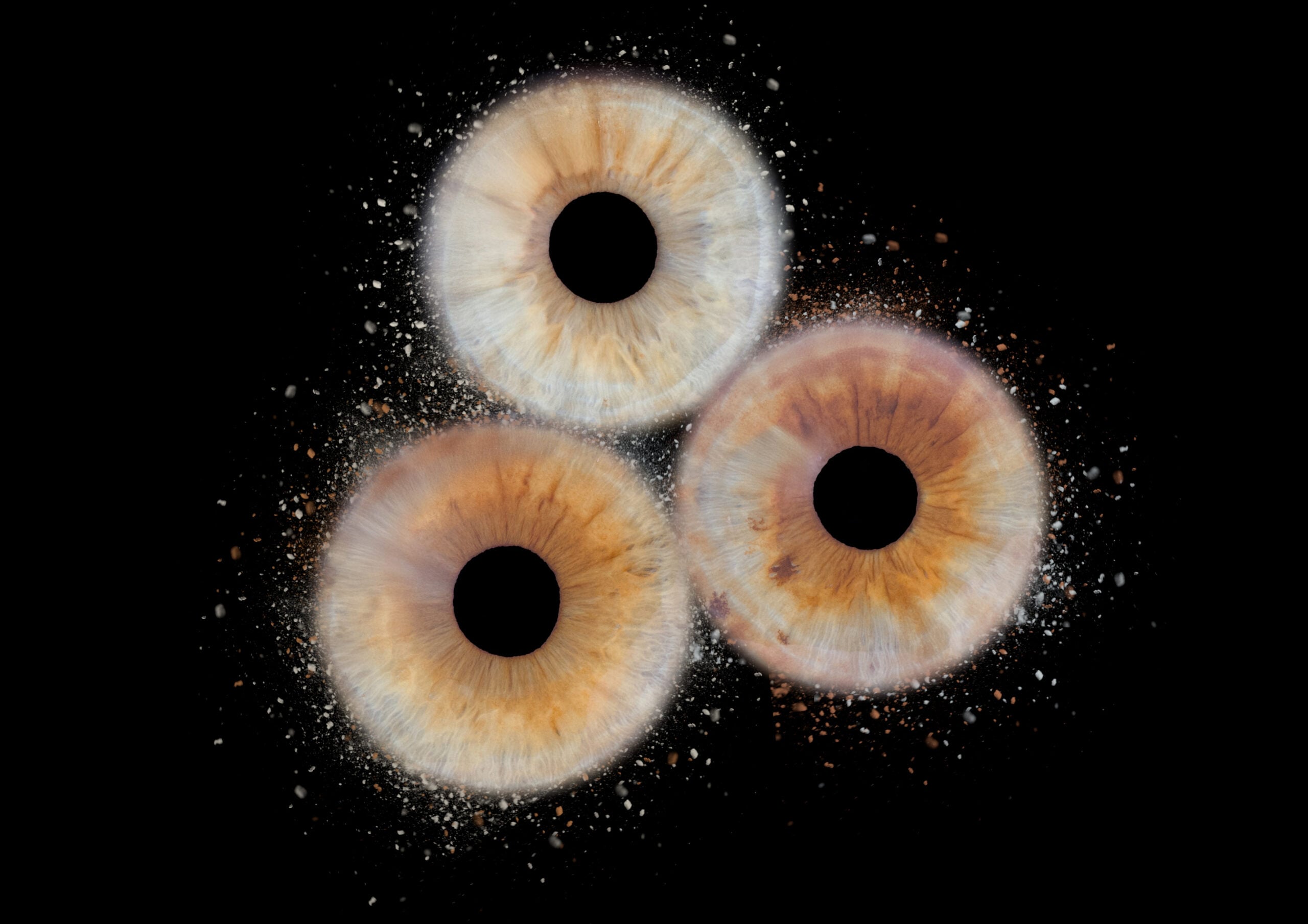 Photographie iris 3 personnes Fronton