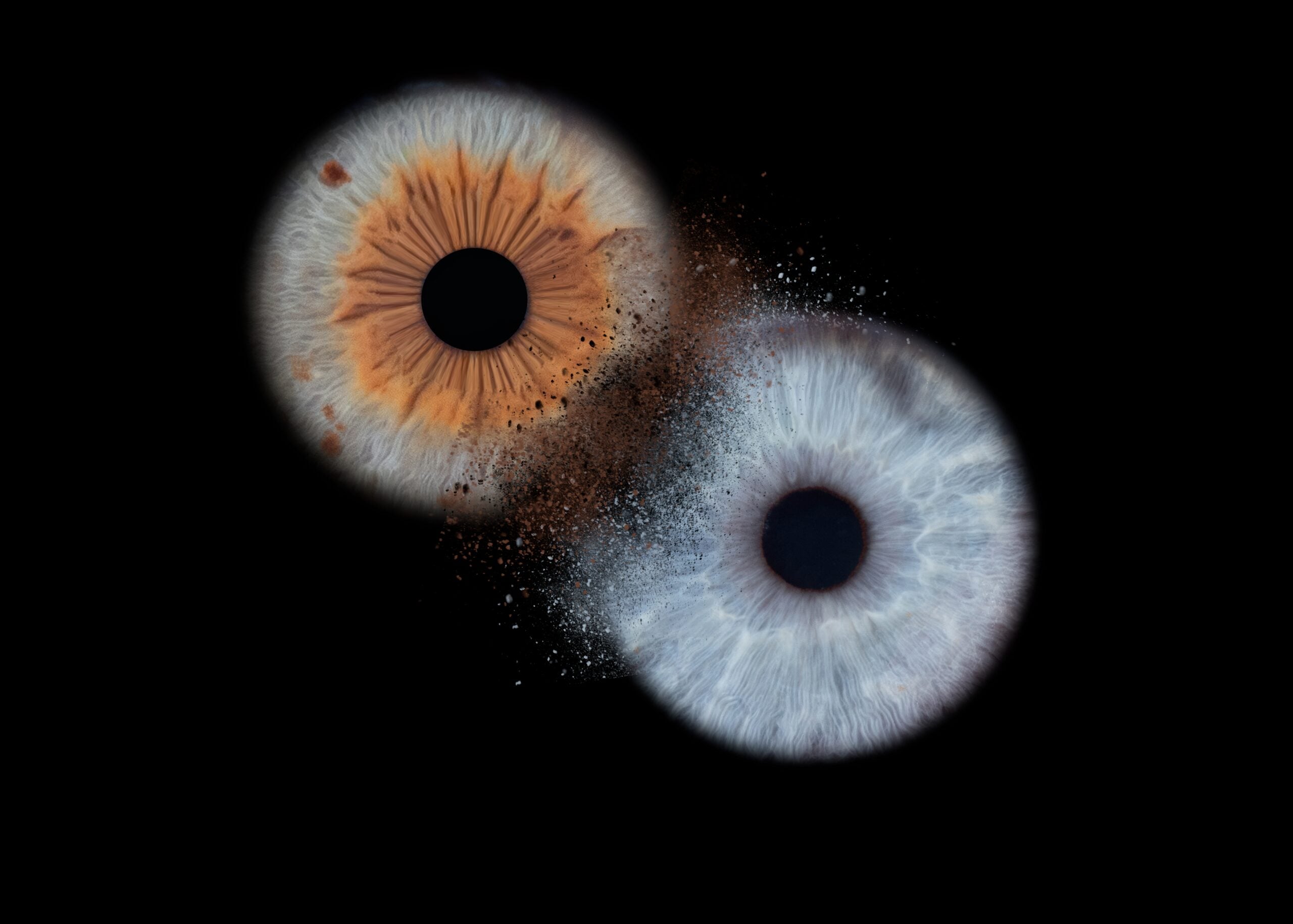 Photographie iris couple Fronton Toulouse